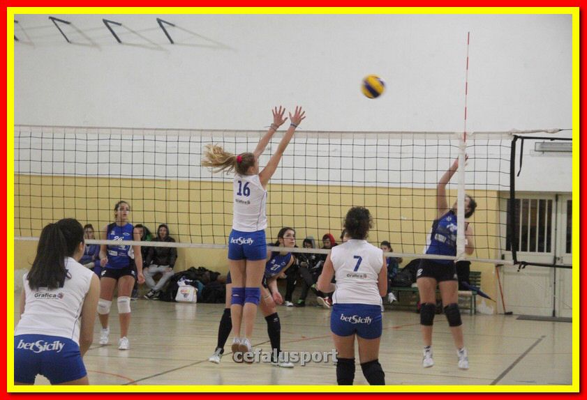 140305 Primula 092_tn.jpg